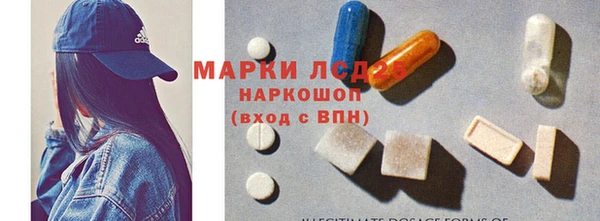 сатива Белокуриха