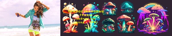 сатива Белокуриха
