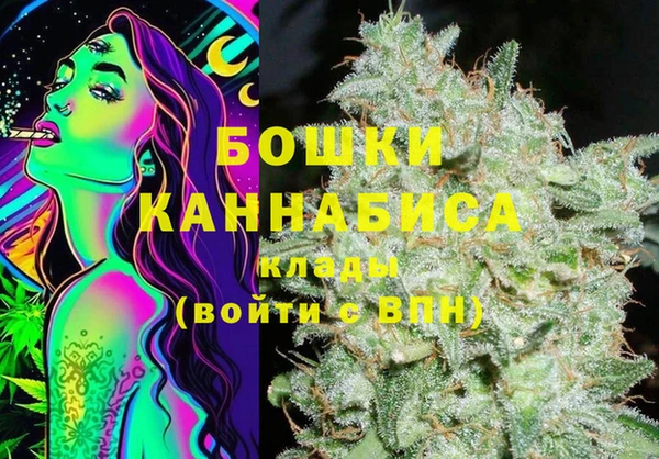 сатива Белокуриха