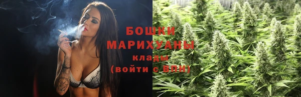 сатива Белокуриха